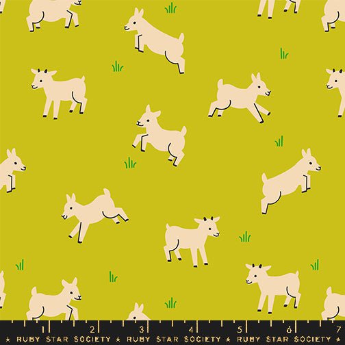 Animal, Animal: Baby Goats in Pistachio