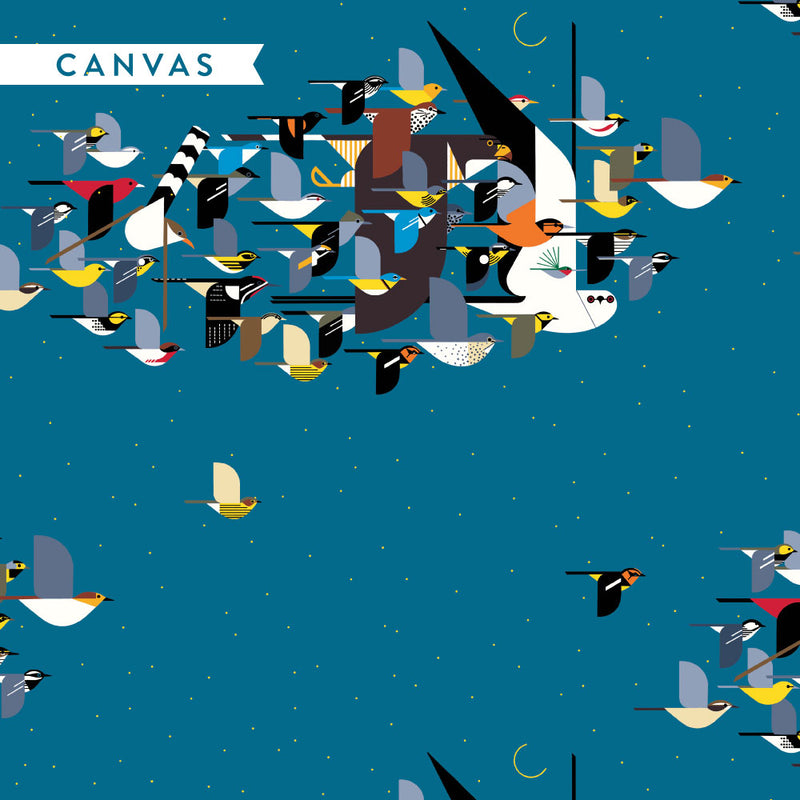 CANVAS: Missing Migrants