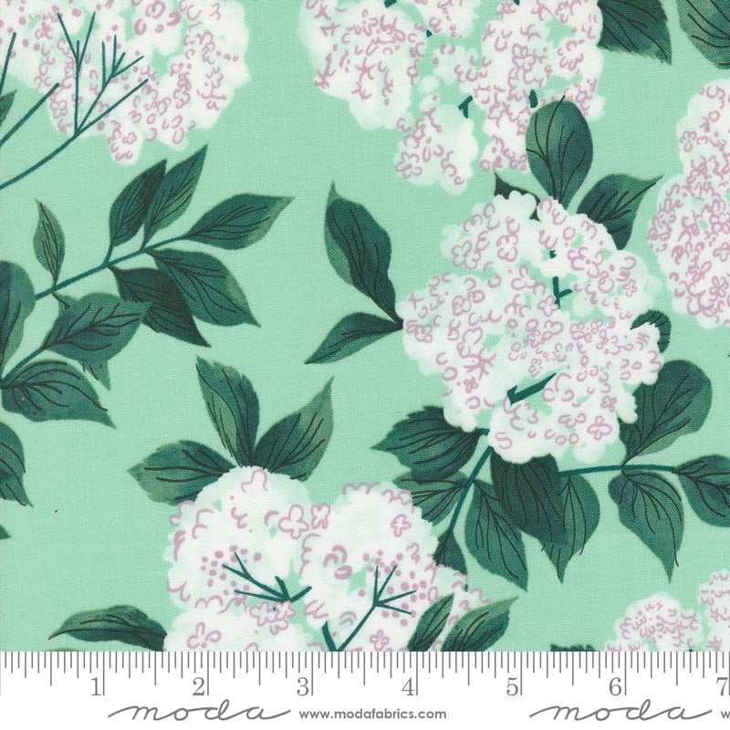 Love Letter: Elderberry in Seafoam