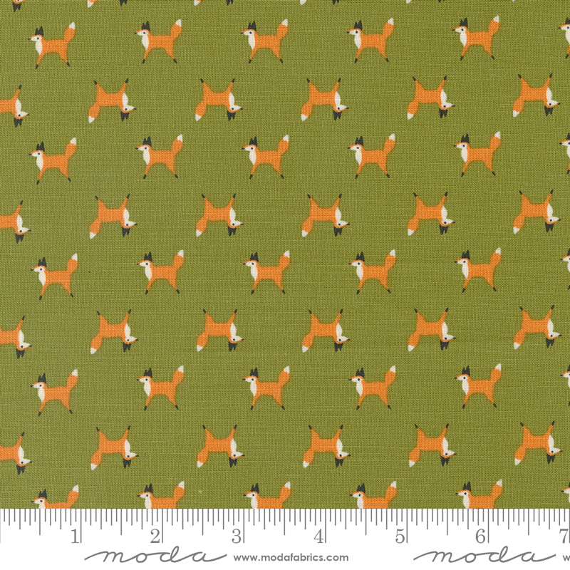 Woodland Wonder: Fox Trot in Fern