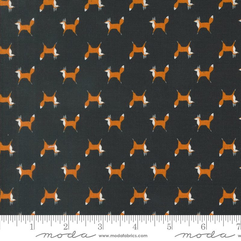 Woodland Wonder: Fox Trot in Midnight