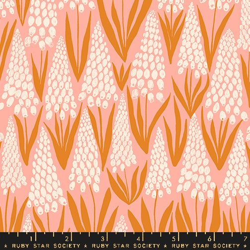 Endpaper: Muscari in Bashful