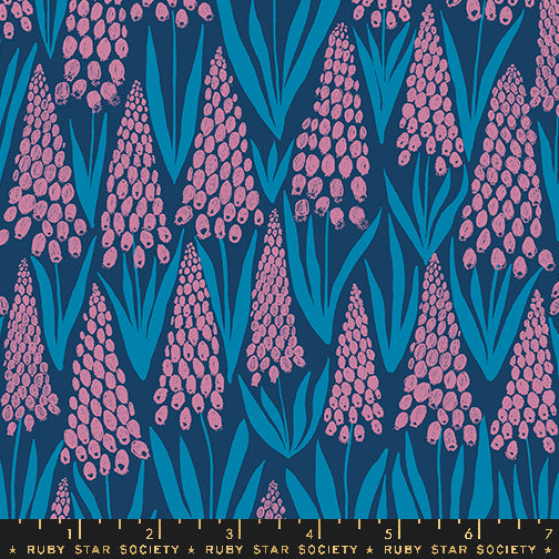 Endpaper: Muscari in Bluebell