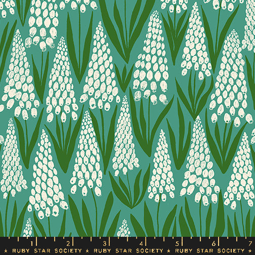 Endpaper: Jelly Roll