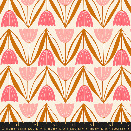 Endpaper: Jelly Roll