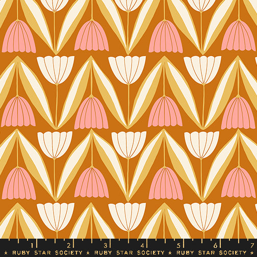 Endpaper: Jelly Roll