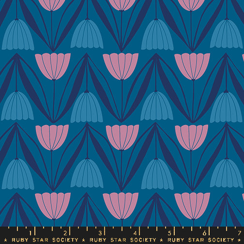 Endpaper: Jelly Roll