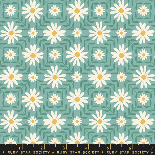 Endpaper: Jelly Roll