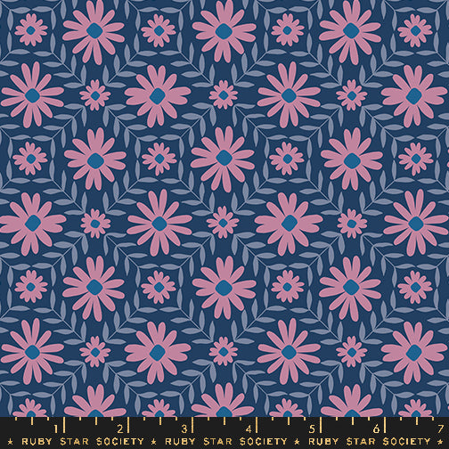 Endpaper: Jelly Roll