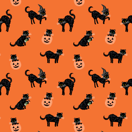 Halloween: Black Cat in Orange